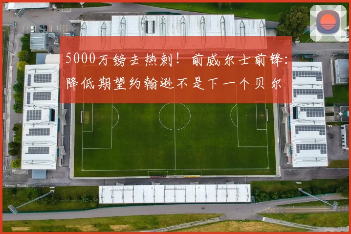 5000万镑去热刺！前威尔士前锋：降低期望约翰逊不是下一个贝尔